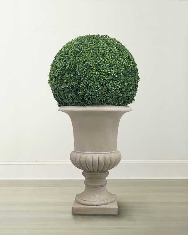 Boxwood Ball in Urn